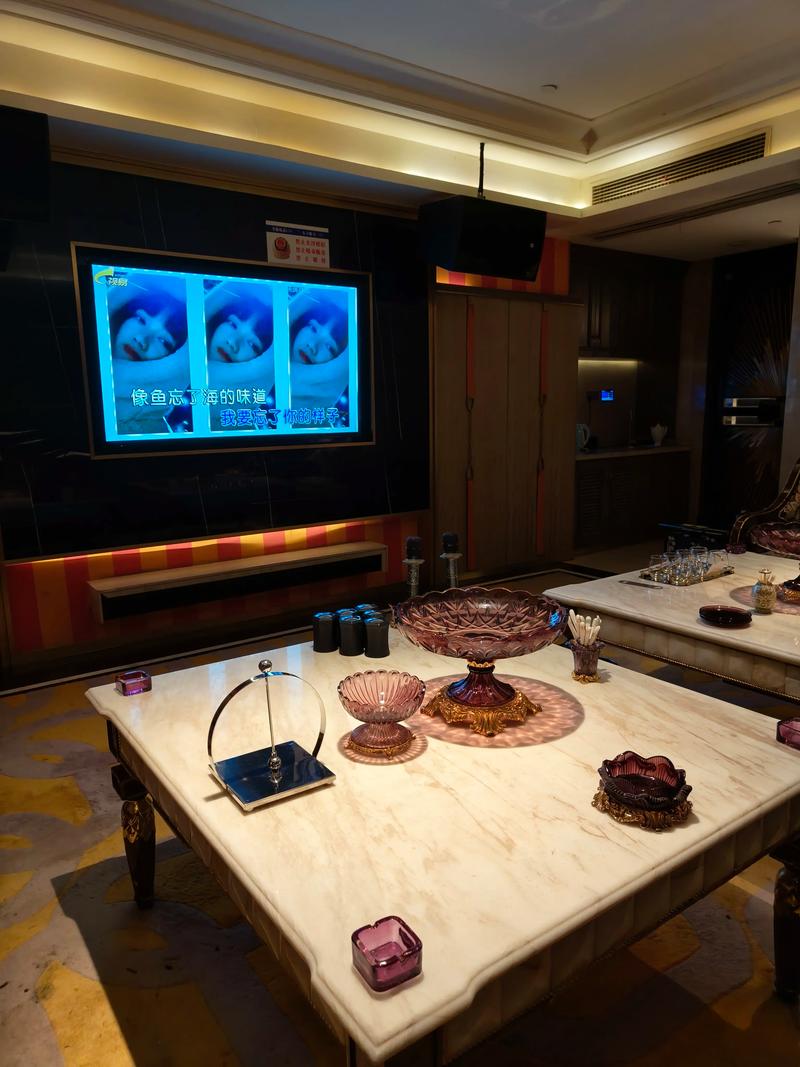 新乡商务ktv多少钱一个小时揭秘-凤泉区ktv预定